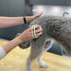 Kooa Cepillo Masajeador Para Gatos 22 Kooa Cepillo Masajeador Para Gatos -Trixie Ventas 309896 kooa massageb rste f r katzen hs 08 8