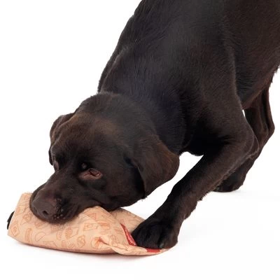 Menú De Hamburguesa Squeaky Juguete Para Perros 10 Menú De Hamburguesa Squeaky Juguete Para Perros - Imagen 10