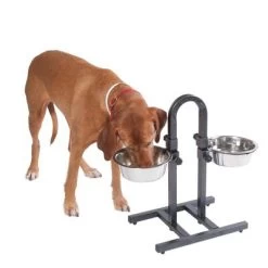 Soporte Ajustable Con Dos Comederos De 1,6 L 11 Soporte Ajustable Con Dos Comederos De 1,6 L -Trixie Ventas 313525 u hundebar 05 dsc9197 9