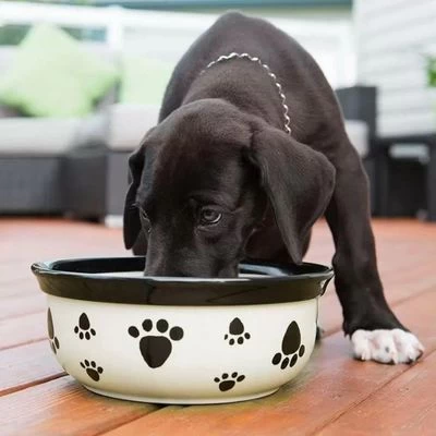 Vet's Best® Dental Refrescante De Aliento Para Perros 2 Vet's Best® Dental Refrescante De Aliento Para Perros - Imagen 2