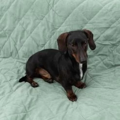 Manta Para Perros Modern Living Victoria 15 Manta Para Perros Modern Living Victoria -Trixie Ventas 318002 decke victoria fg 6050 2