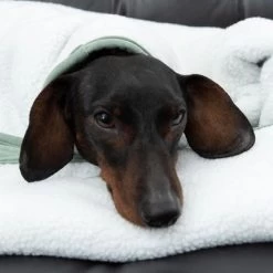 Manta Para Perros Modern Living Victoria 23 Manta Para Perros Modern Living Victoria -Trixie Ventas 318002 decke victoria fg 6055 4