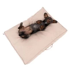 Colchón TIAKI Memory Foam Beige Para Perros 28 Colchón TIAKI Memory Foam Beige Para Perros -Trixie Ventas 318697 tiaki hundematratze beige fg 5024 1