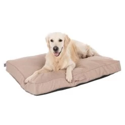 Colchón TIAKI Memory Foam Beige Para Perros 20 Colchón TIAKI Memory Foam Beige Para Perros -Trixie Ventas 318698 mit hund fg 5093 8