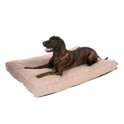 Colchón TIAKI Memory Foam Beige Para Perros 22 Colchón TIAKI Memory Foam Beige Para Perros -Trixie Ventas 318699 mit hund fg 5104 1