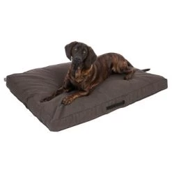 Colchón TIAKI Memory Foam Marrón Para Perros -Trixie Ventas 318702 mit hund fg 5116 0
