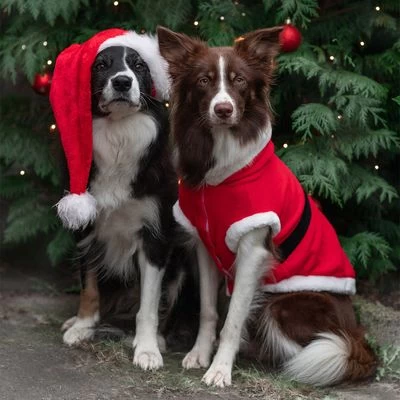 Trixie Abrigo Navideño Papá Noel Para Perros 3 Trixie Abrigo Navideño Papá Noel Para Perros - Imagen 3