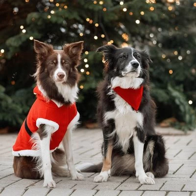 Trixie Abrigo Navideño Papá Noel Para Perros 5 Trixie Abrigo Navideño Papá Noel Para Perros - Imagen 5