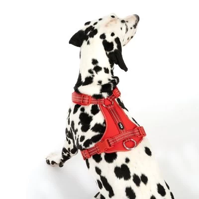 Arnés TIAKI Neoprene Rojo Para Perros 5 Arnés TIAKI Neoprene Rojo Para Perros - Imagen 5