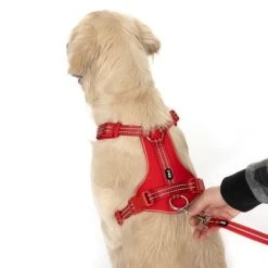 Correa Ajustable TIAKI Reflective Rubber Roja Para Perros 20 Correa Ajustable TIAKI Reflective Rubber Roja Para Perros -Trixie Ventas 323005 neoprene geschirr l fg 1662 4