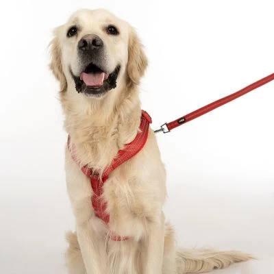 Arnés TIAKI Neoprene Rojo Para Perros 10 Arnés TIAKI Neoprene Rojo Para Perros - Imagen 10