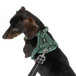 Arnés TIAKI Neoprene Verde Para Perros -Trixie Ventas 323016 neoprene geschirr s fg 1514 4