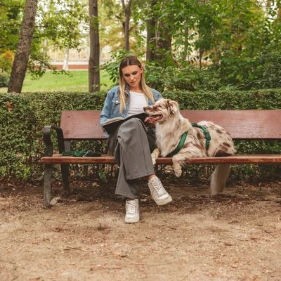 Arnés Nomad Tales Blush Esmeralda Para Perros 13 Arnés Nomad Tales Blush Esmeralda Para Perros - Imagen 13