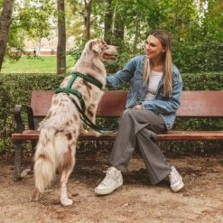 Arnés Nomad Tales Blush Esmeralda Para Perros 28 Arnés Nomad Tales Blush Esmeralda Para Perros -Trixie Ventas 323020 nomad tales blush geschirr emerald 02 8