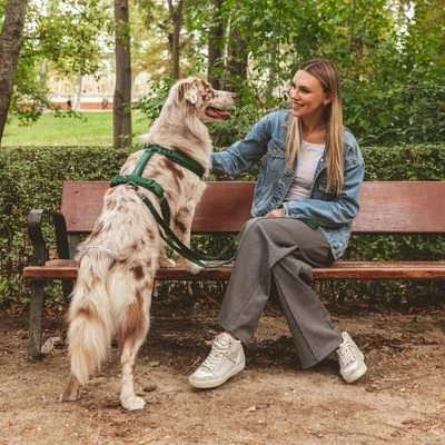 Arnés Nomad Tales Blush Esmeralda Para Perros 9 Arnés Nomad Tales Blush Esmeralda Para Perros - Imagen 9