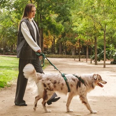 Arnés Nomad Tales Blush Esmeralda Para Perros 18 Arnés Nomad Tales Blush Esmeralda Para Perros - Imagen 18