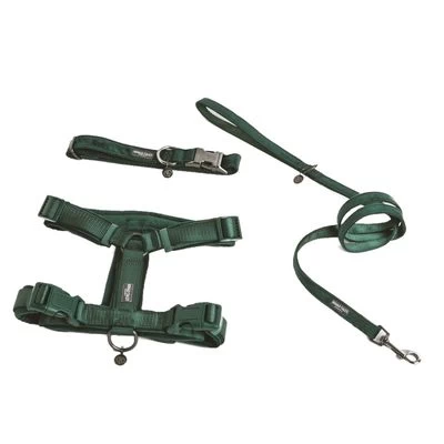 Arnés Nomad Tales Blush Esmeralda Para Perros 7 Arnés Nomad Tales Blush Esmeralda Para Perros - Imagen 7