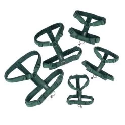 Arnés Nomad Tales Blush Esmeralda Para Perros 39 Arnés Nomad Tales Blush Esmeralda Para Perros -Trixie Ventas 323020 nomad tales blush geschirr emerald fg 1293 7