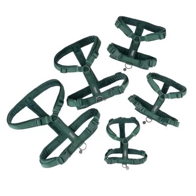 Arnés Nomad Tales Blush Esmeralda Para Perros 20 Arnés Nomad Tales Blush Esmeralda Para Perros - Imagen 20