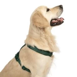 Arnés TIAKI Neoprene Verde Para Perros -Trixie Ventas 323025 neoprene geschirr l fg 1679 2
