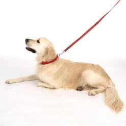 Correa Ajustable TIAKI Reflective Rubber Roja Para Perros 21 Correa Ajustable TIAKI Reflective Rubber Roja Para Perros -Trixie Ventas 323199 soft save m fg 1630 5