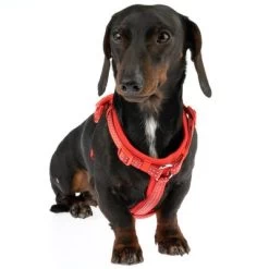 Arnés TIAKI Neoprene Rojo Para Perros 20 Arnés TIAKI Neoprene Rojo Para Perros -Trixie Ventas 323397 neoprene geschirr s fg 1487 1