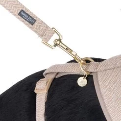 Correa Nomad Tales Calma Arena Para Perros 26 Correa Nomad Tales Calma Arena Para Perros -Trixie Ventas 324713 calma fg 7811 0