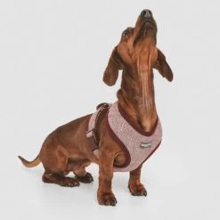 Arnés Nomad Tales Calma Burdeos Para Perros 29 Arnés Nomad Tales Calma Burdeos Para Perros -Trixie Ventas 324717 nomad tales calma burgundy 02 4