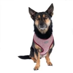 Arnés Nomad Tales Calma Burdeos Para Perros 27 Arnés Nomad Tales Calma Burdeos Para Perros -Trixie Ventas 325599 calma fg 7759 9