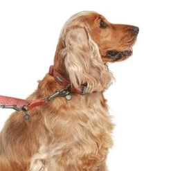 Correa Nomad Tales Blush Vino Para Perros 31 Correa Nomad Tales Blush Vino Para Perros -Trixie Ventas 325600 325601 nomadtales blush hundeleine rose hs 03 9