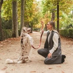 Correa Nomad Tales Blush Vino Para Perros 21 Correa Nomad Tales Blush Vino Para Perros -Trixie Ventas 325600 325601 nomadtales blush hundeleine rose hs 07 4