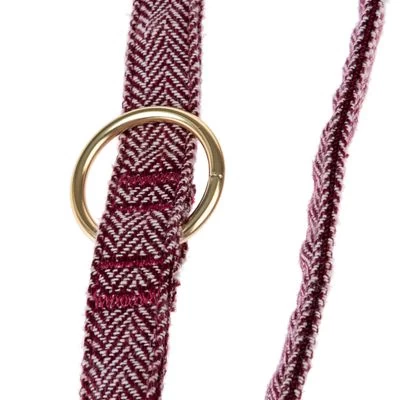 Correa Nomad Tales Calma Burdeos Para Perros 10 Correa Nomad Tales Calma Burdeos Para Perros - Imagen 10