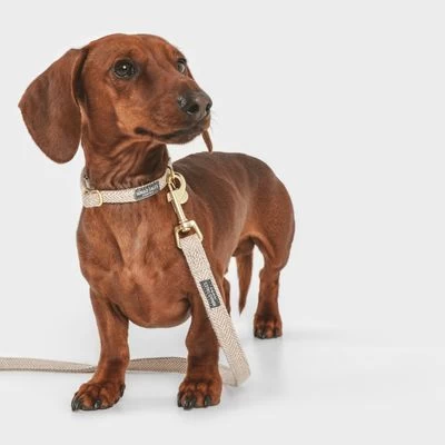 Correa Nomad Tales Calma Arena Para Perros 13 Correa Nomad Tales Calma Arena Para Perros - Imagen 13