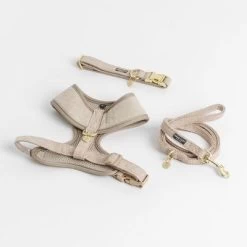 Correa Nomad Tales Calma Arena Para Perros 31 Correa Nomad Tales Calma Arena Para Perros -Trixie Ventas 326198 326096 nomad tales calma halsband ebony 01 2