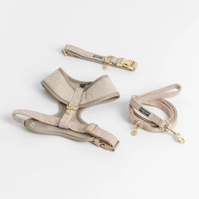 Correa Nomad Tales Calma Arena Para Perros 16 Correa Nomad Tales Calma Arena Para Perros - Imagen 16