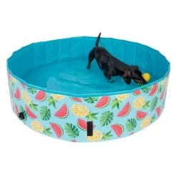 Piscina Para Perros TIAKI Con Cubierta 23 Piscina Para Perros TIAKI Con Cubierta -Trixie Ventas 326696 floating pineapple fg 6648 6