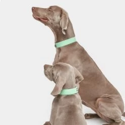 Collar Nomad Tales Bloom Menta Para Perros 19 Collar Nomad Tales Bloom Menta Para Perros -Trixie Ventas 326798 nomad tales bloom halsband mint 05 8