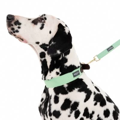 Correa Nomad Tales Bloom Menta Para Perros 10 Correa Nomad Tales Bloom Menta Para Perros - Imagen 10