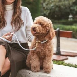 Correa Nomad Tales Calma Piedra Para Perros 16 Correa Nomad Tales Calma Piedra Para Perros -Trixie Ventas 326806 326197 nomad tales calma halsband stone 03 5