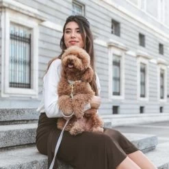 Correa Nomad Tales Calma Piedra Para Perros 17 Correa Nomad Tales Calma Piedra Para Perros -Trixie Ventas 326806 326197 nomad tales calma halsband stone 05 0