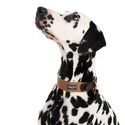 Collar Nomad Tales Bloom Caramelo Para Perros 8 Collar Nomad Tales Bloom Caramelo Para Perros - Imagen 8