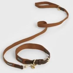 Collar Nomad Tales Bloom Caramelo Para Perros 21 Collar Nomad Tales Bloom Caramelo Para Perros -Trixie Ventas 328697 328698 328397 328398 328399 nomad tales bloom halsbaender 03 9