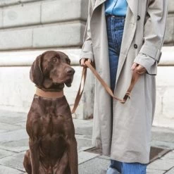 Collar Nomad Tales Bloom Caramelo Para Perros 22 Collar Nomad Tales Bloom Caramelo Para Perros -Trixie Ventas 328697 328698 328397 328398 328399 nomad tales bloom halsbaender 04 2