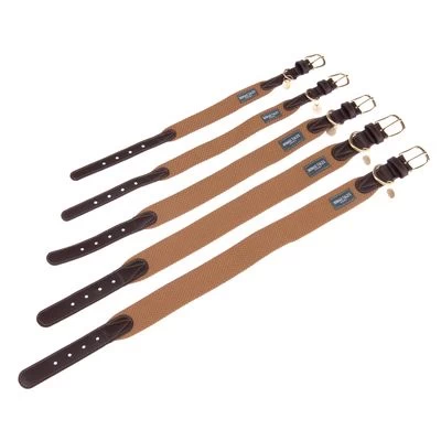 Collar Nomad Tales Bloom Caramelo Para Perros 13 Collar Nomad Tales Bloom Caramelo Para Perros - Imagen 13