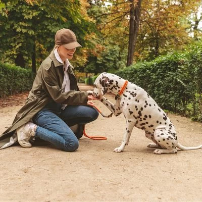 Collar Nomad Tales Spirit Mandarina Para Perros 4 Collar Nomad Tales Spirit Mandarina Para Perros - Imagen 4