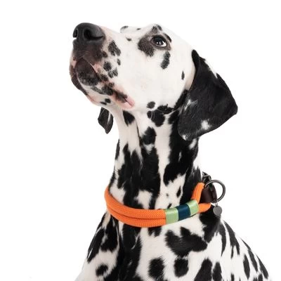 Collar Nomad Tales Spirit Mandarina Para Perros 6 Collar Nomad Tales Spirit Mandarina Para Perros - Imagen 6