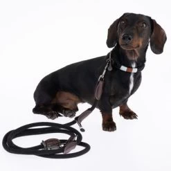 Correa Ajustable Nomad Tales Spirit ébano Para Perros -Trixie Ventas 329001 329396 spirit xs fg 7727 4