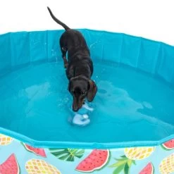 Piscina Para Perros TIAKI Con Cubierta 29 Piscina Para Perros TIAKI Con Cubierta -Trixie Ventas 329014 tiaki seahorse fg 6664 7
