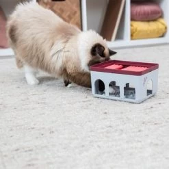 Trixie Cat Activity Rod Box Juego De Inteligencia Para Gatos 16 Trixie Cat Activity Rod Box Juego De Inteligencia Para Gatos -Trixie Ventas 332214 trixie cat activity rod box hs 09 1