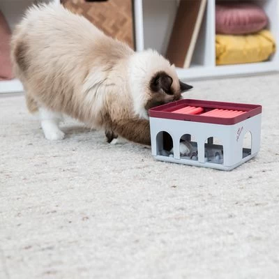 Trixie Cat Activity Rod Box Juego De Inteligencia Para Gatos 7 Trixie Cat Activity Rod Box Juego De Inteligencia Para Gatos - Imagen 7